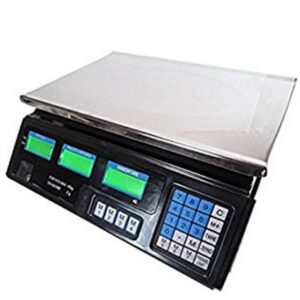 Bilancia da Banco Professionale Max 40Kg
